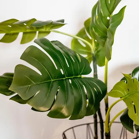 Lesympa 신트-이데스발드