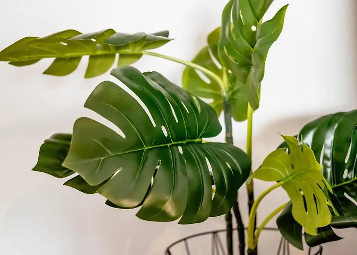 Lesympa 신트-이데스발드